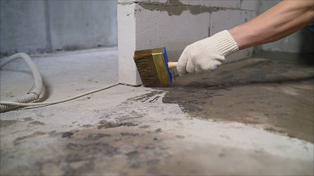 24/7 Emergency Wet Basement Repair experts in Bloomfield, NY